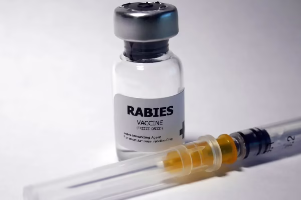 Rabies Vaccination