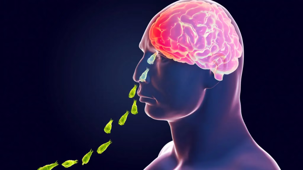 Kerala on Alert as Brain-Eating Amoeba Claims 19 Lives 1 Maharashtra Pollution Control Board 58