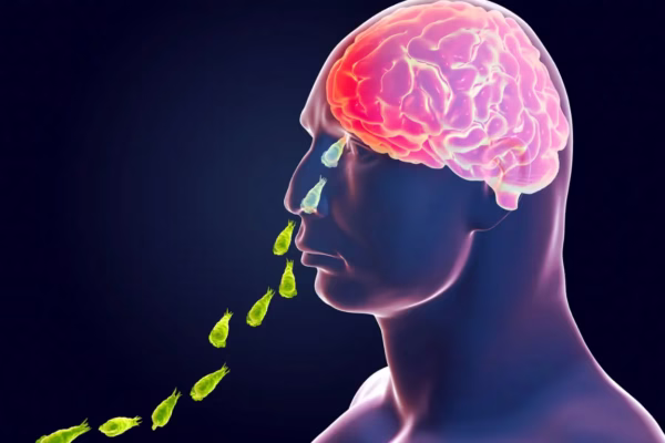 Maharashtra Pollution Control Board 58