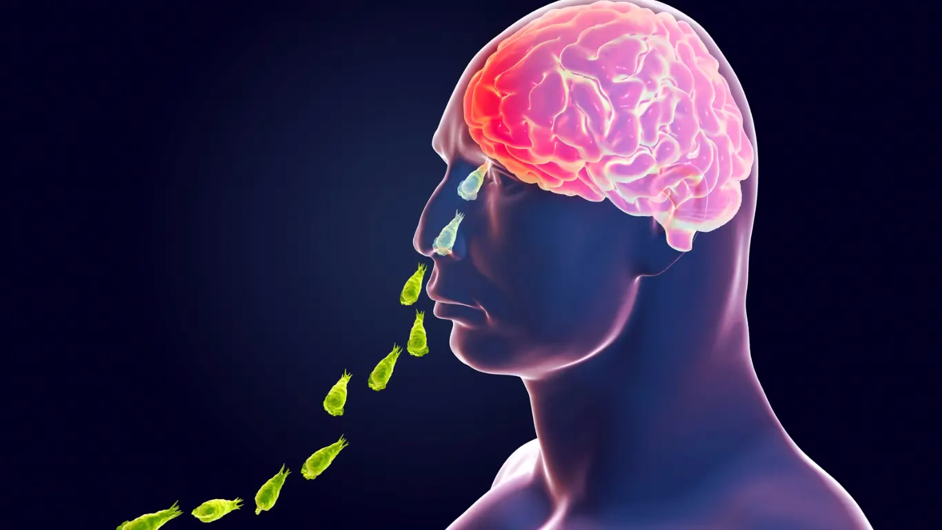 Maharashtra Pollution Control Board 58