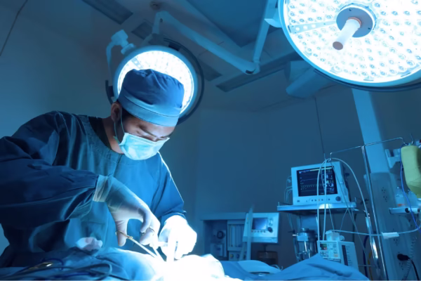 World Health Organisation 12