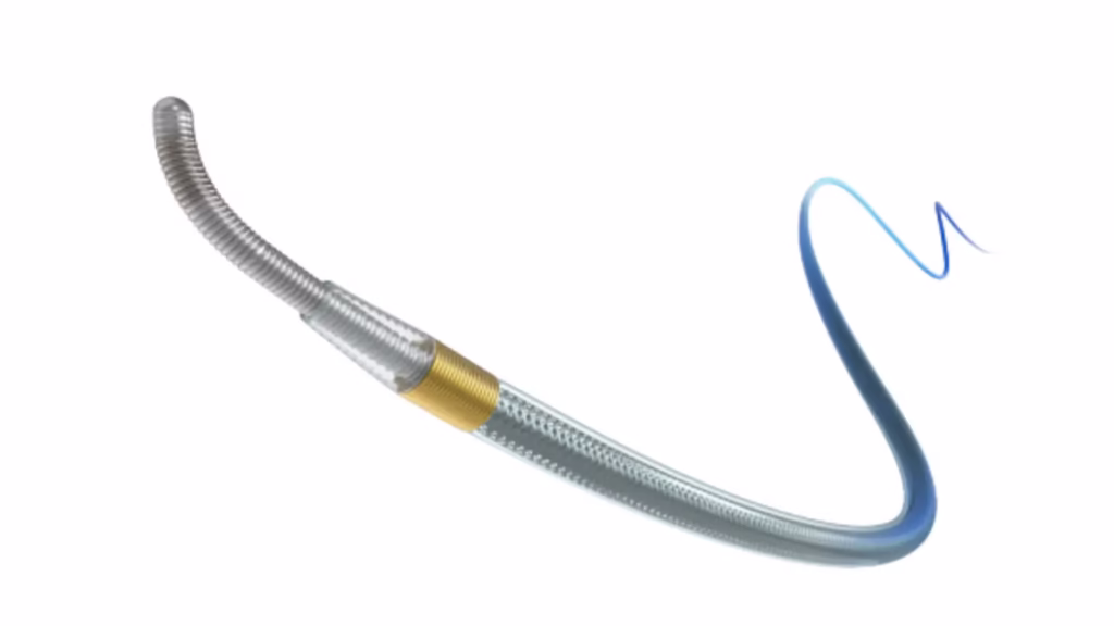 World Health Organisation 4