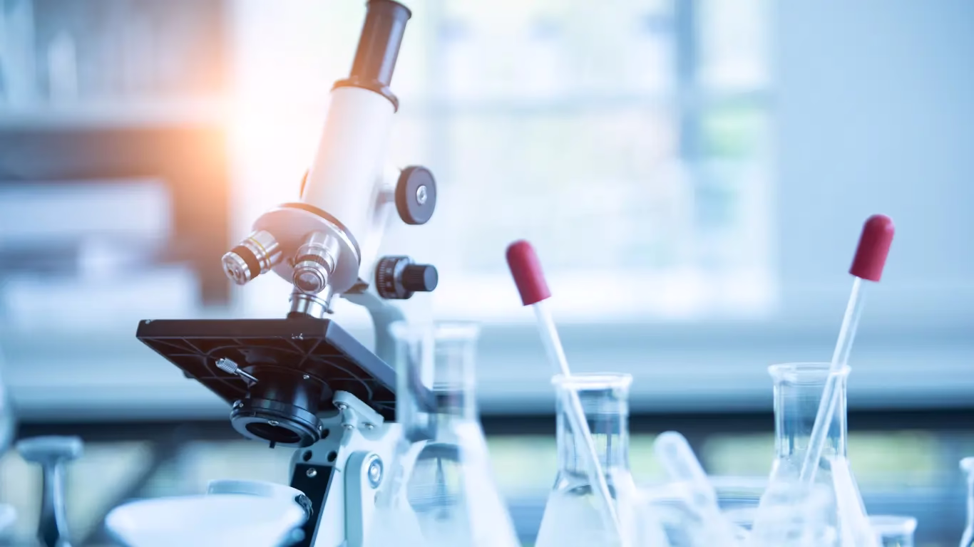 World Health Organisation 5