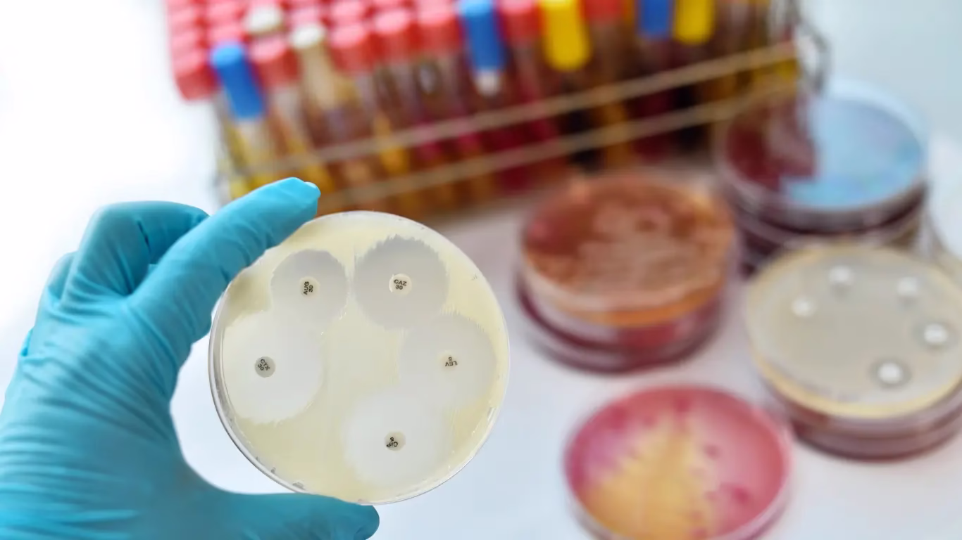 WHO warns of surging levels of antibiotic resistance 1 World Health Organisation 9