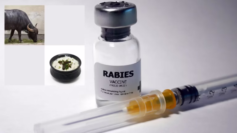 Indian Industries Association 2