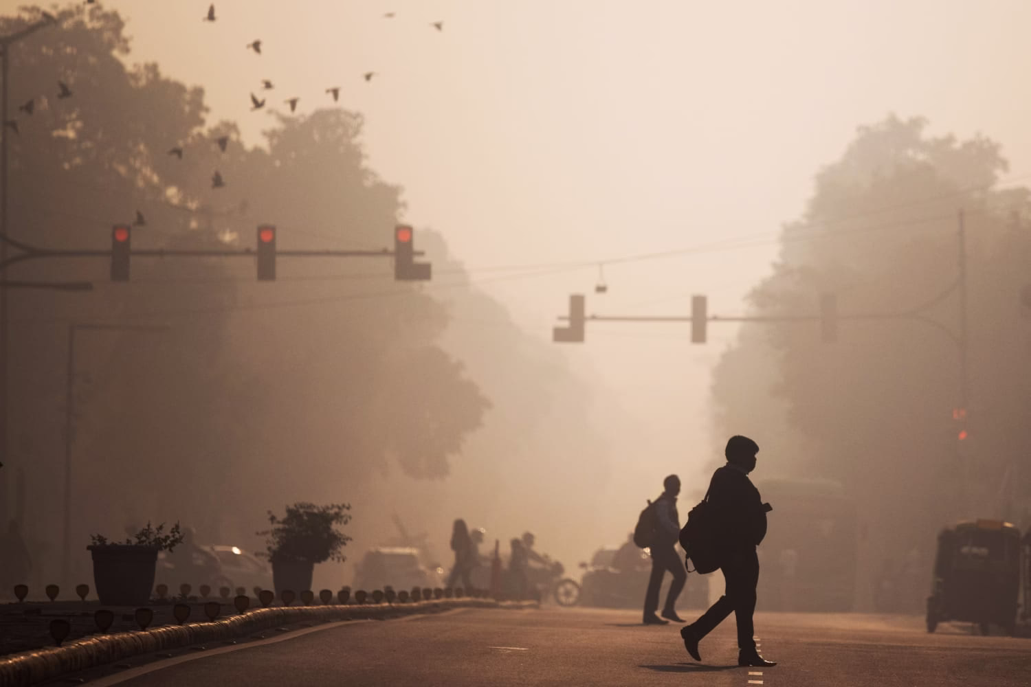 ‘Public Health Emergency’: Padma Awardee Doctors, Experts Issue National Advisory as AQI Plunges Across India 1 image 14