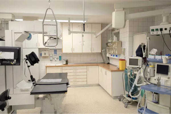 Indian Industries Association 13