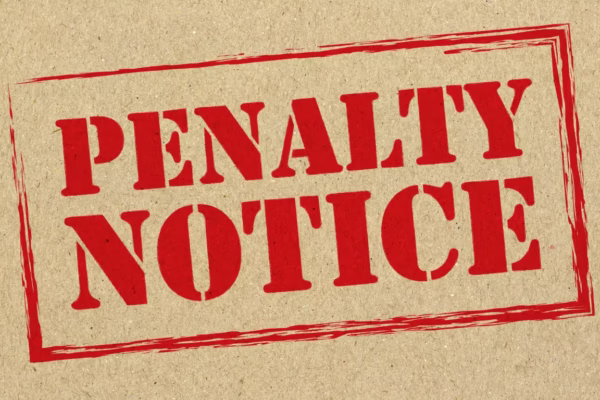 Indian Industries Association 9