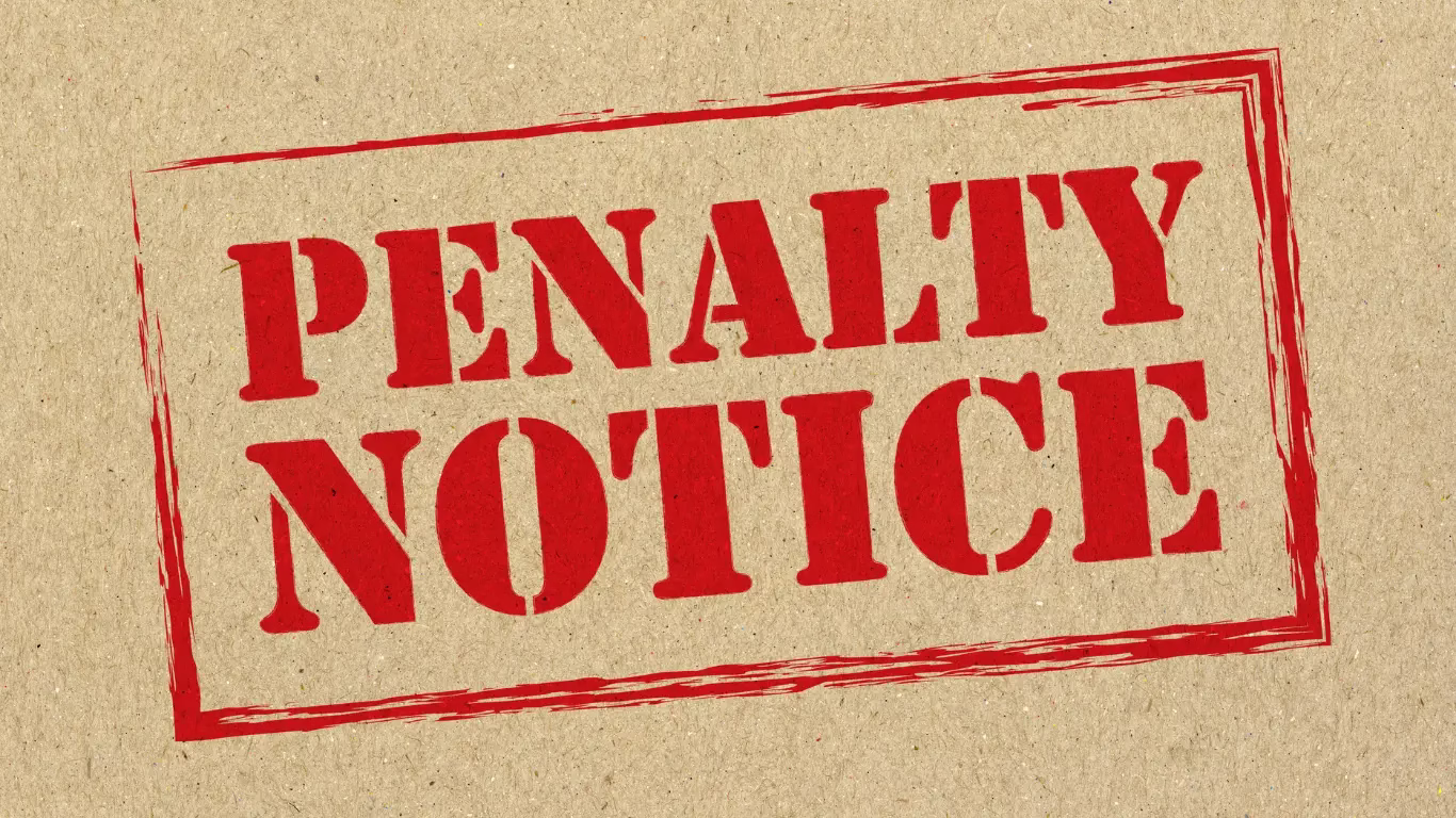 Indian Industries Association 9