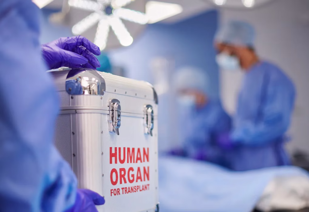 Indian Industries Association 78