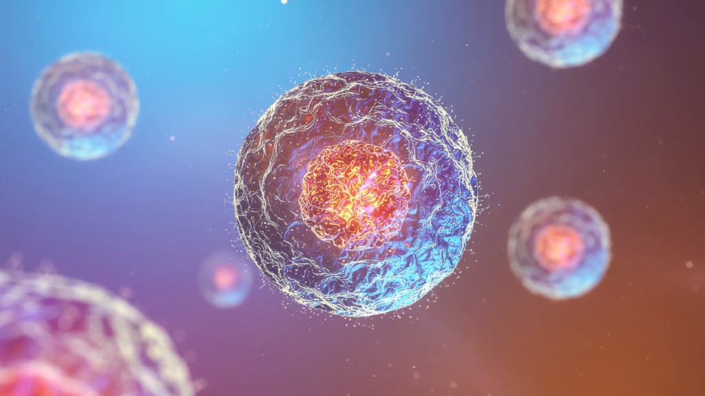 NMC Issues Advisory on Stem Cell Therapy Following Supreme Court Ruling 1 Untitled design 4 2