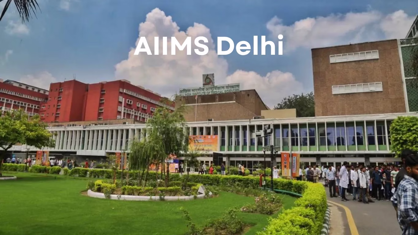 mclakcljkzncjlkjcx 2