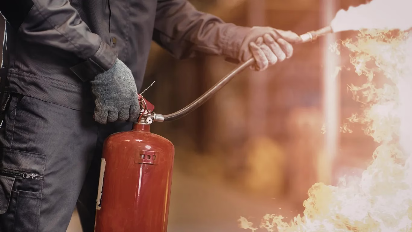 mclakcljkzncjlkjcx 5