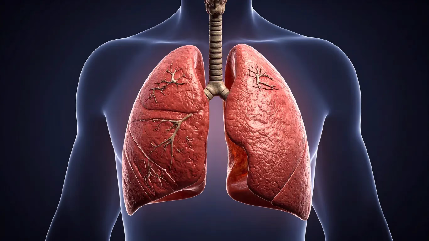 7-Minute Lung Cancer Immunotherapy Introduced in India 5 mclakcljkzncjlkjcx 31