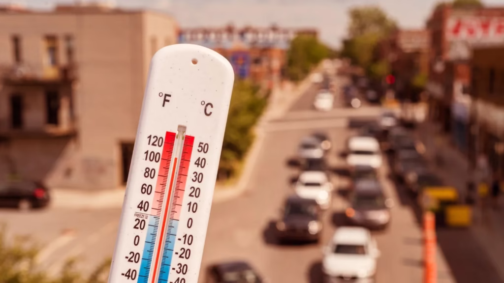 DGHS Issues Heatwave Advisory, Promotes AYUSH Measures to Prevent Heat-Related Illnesses 1 mclakcljkzncjlkjcx 38