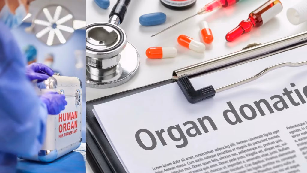 India Records Over Five Lakh Organ Donation Pledges: Union Health Ministry 1 NEET UG 12