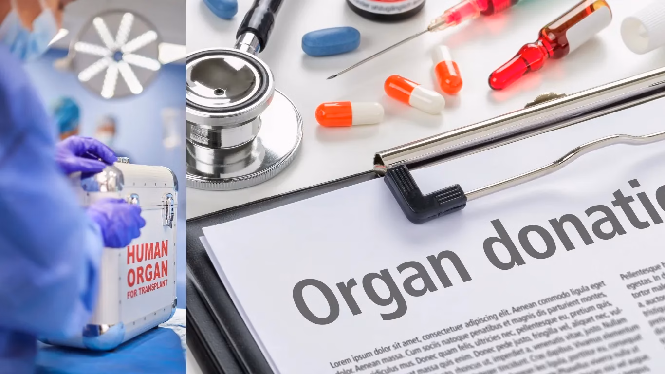 India Records Over Five Lakh Organ Donation Pledges: Union Health Ministry 1 NEET UG 12