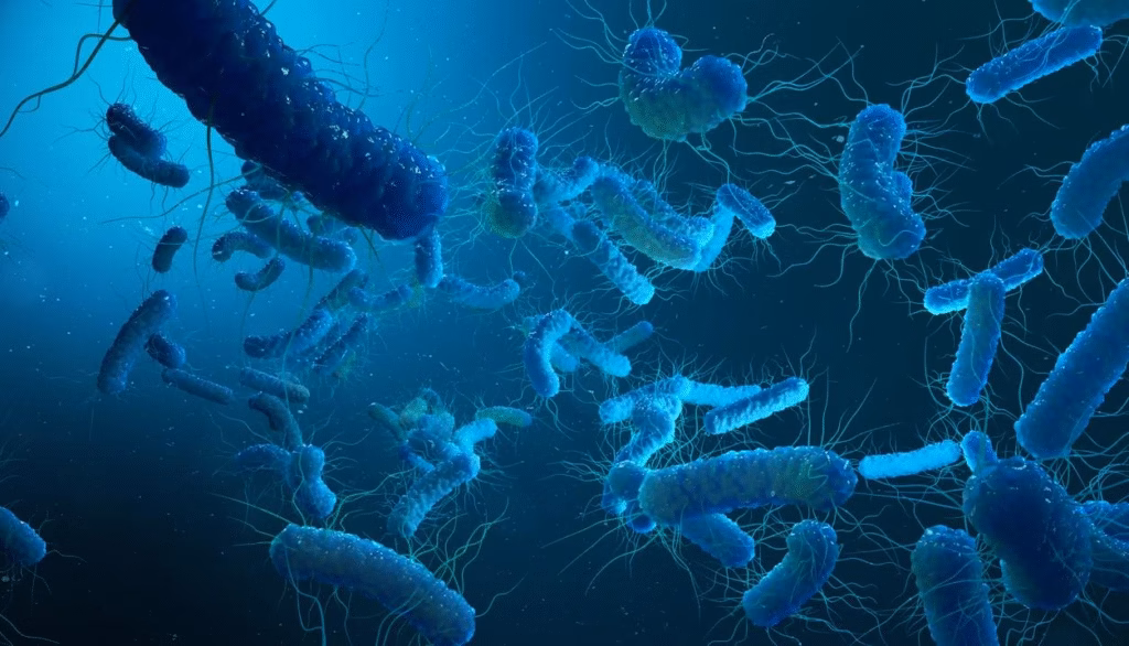 Kerala Reports 10 New Shigella Cases; Nipah Contained, Ebola Surveillance Strengthened 1 image 30