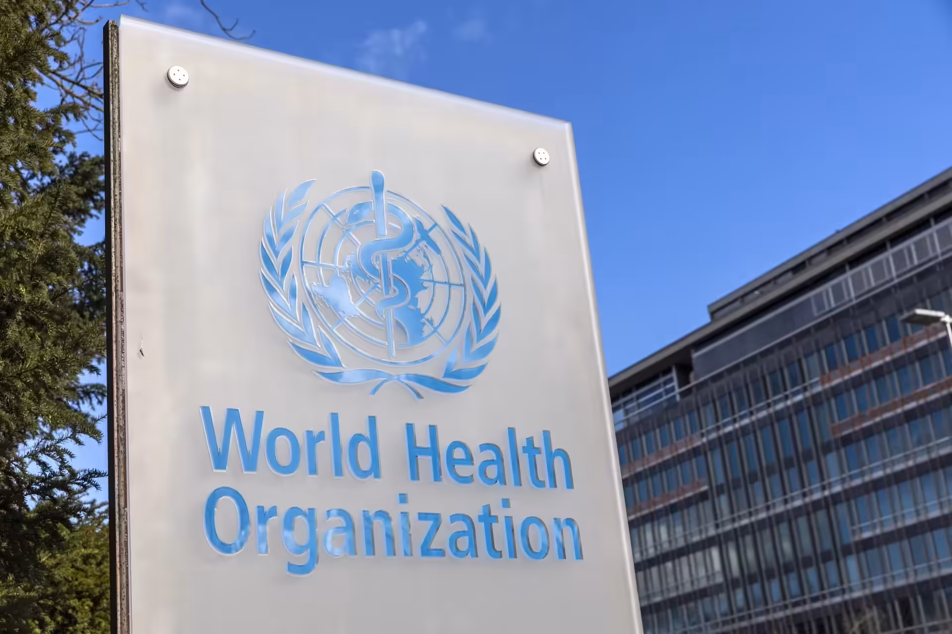 WHO Unveils $518 Million Emergency Plan to Tackle Ebola Outbreak 1 image 8