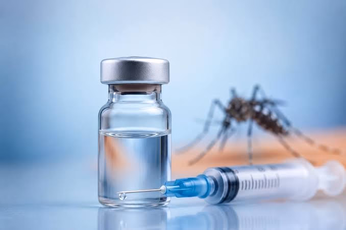 After Dengue Vaccine Approval, Is India Closer to a Malaria Vaccine? 2 image 31
