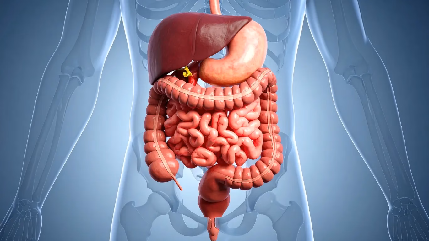 Guttify Plans ₹20 Crore Fundraise to Expand Diagnosis-First Gut Health Platform 4 NEET UG 70