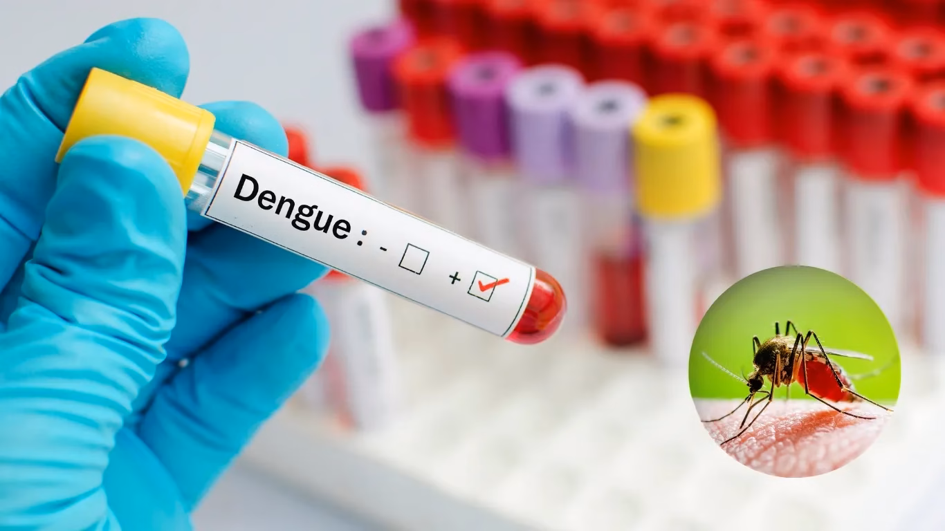 ICMR-NIV Study Detects Insecticide Resistance in Dengue Mosquitoes in Parts of Pune 4 NEET UG 32