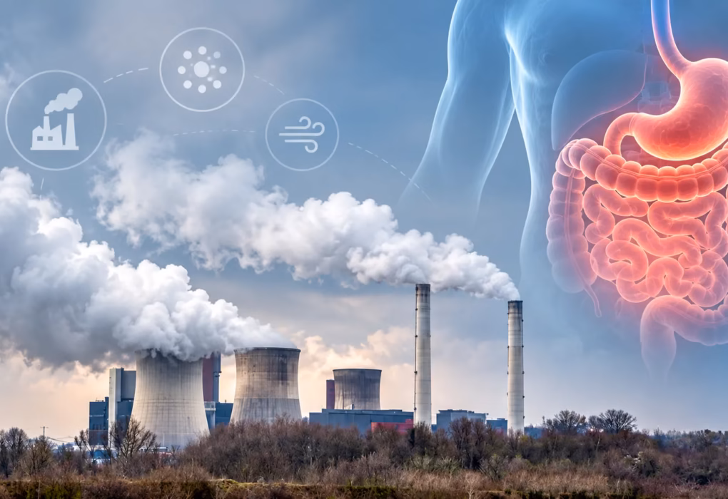 Industrial Smog and Digestive Health