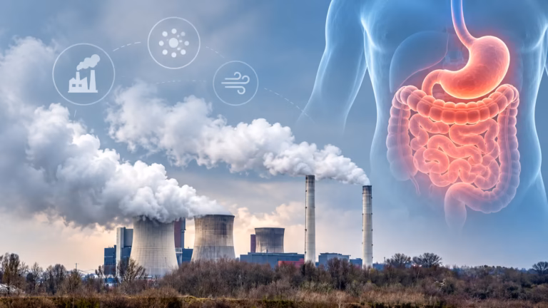 Industrial Smog and Digestive Health