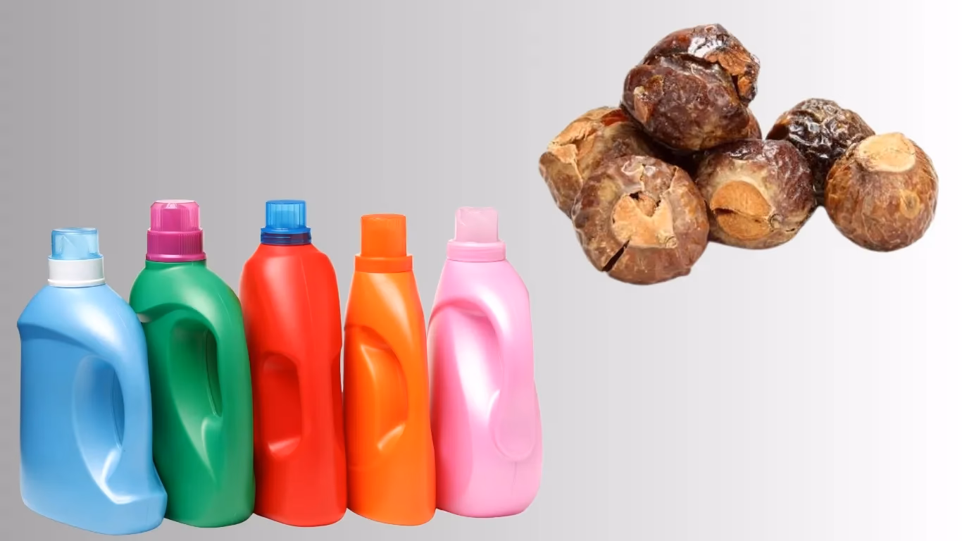 Indian Reetha Gains Attention in US as Natural Laundry Alternative Amid Concerns Over Chemical Detergents 2 NEET UG 77